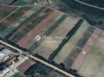 Eladó külterületi telek Monor