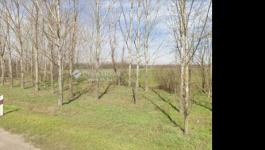 Eladó külterületi telek Monor