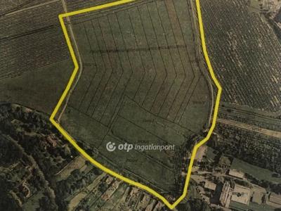 Eladó lakóövezeti telek Sopron