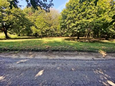 Eladó külterületi telek Nagykanizsa