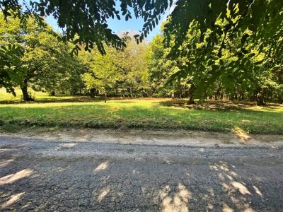 Eladó külterületi telek Nagykanizsa