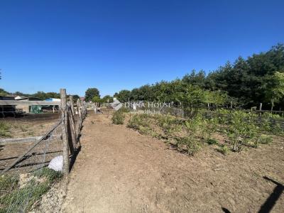 Eladó lakóövezeti telek Nyáregyháza