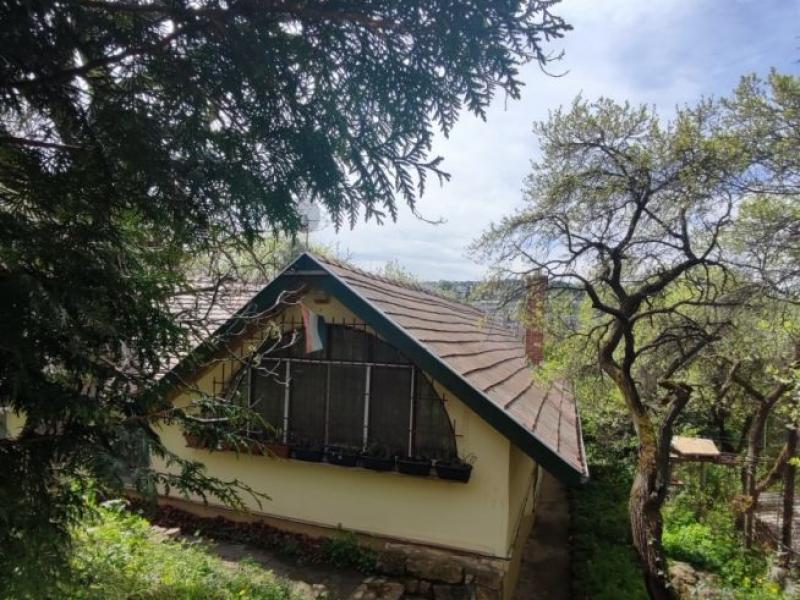 Eladó családi ház Budapest