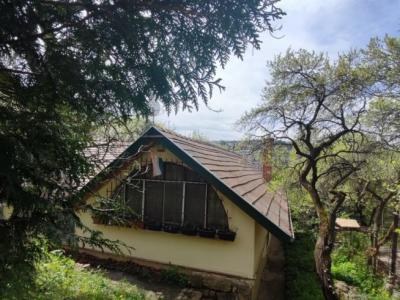 Eladó családi ház Budapest