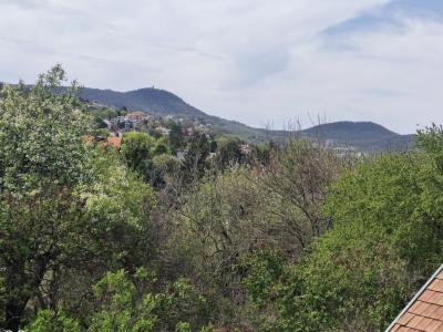 Eladó családi ház Budapest