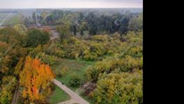 Eladó üdülőövezeti telek Monor Monorierdő