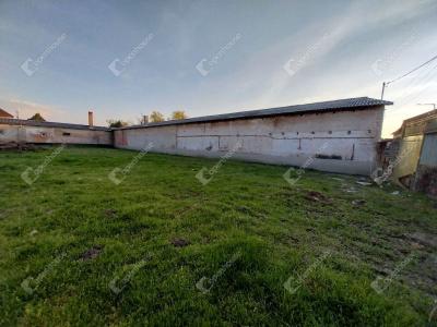 Eladó lakóövezeti telek Monor