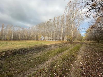 Eladó külterületi telek Dunavarsány