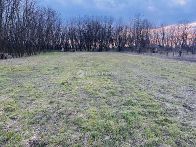 Eladó lakóövezeti telek Pilis