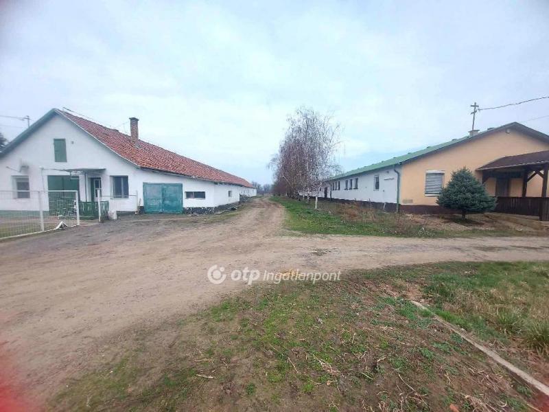Eladó tanya Hosszúpályi