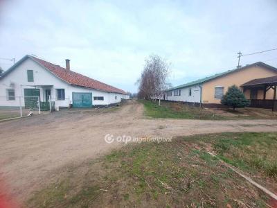 Eladó tanya Hosszúpályi