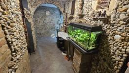 Eladó családi ház Székesfehérvár