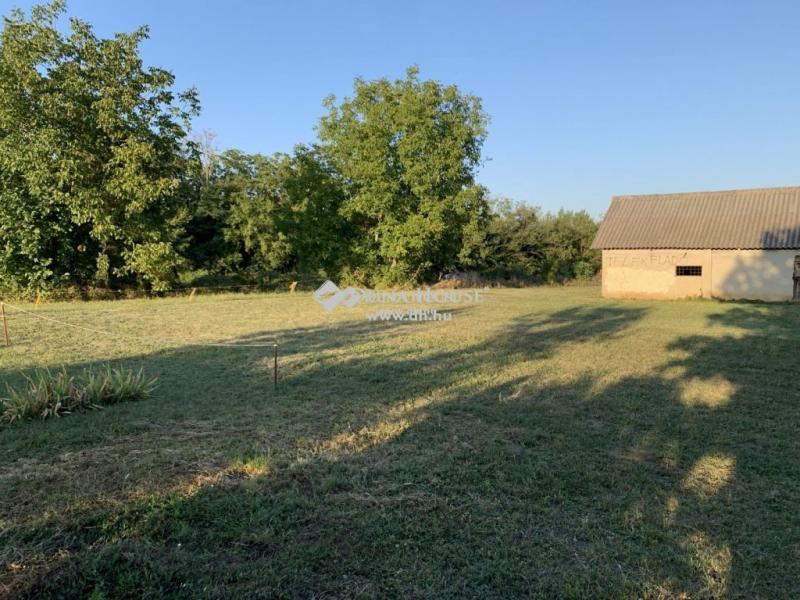 Eladó lakóövezeti telek Kozármisleny