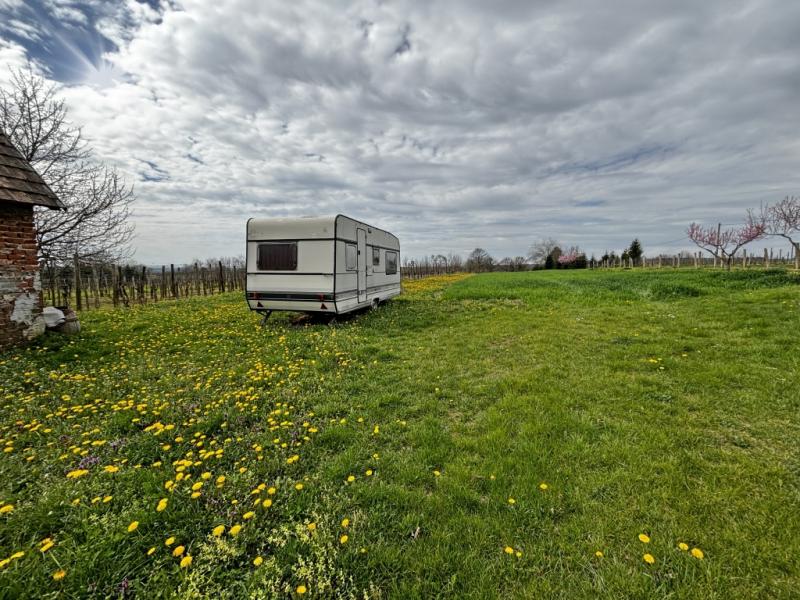 Eladó külterületi telek Eszteregnye