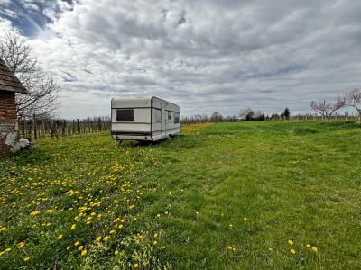 Eladó külterületi telek Eszteregnye