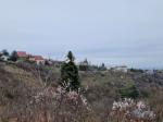 Eladó lakóövezeti telek Pécs