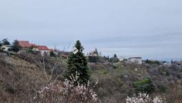 Eladó lakóövezeti telek Pécs