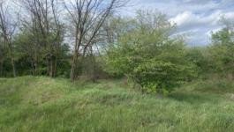 Eladó lakóövezeti telek Dabas