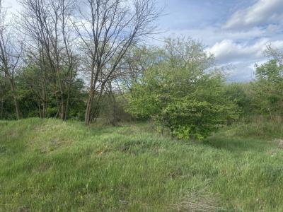 Eladó lakóövezeti telek Dabas