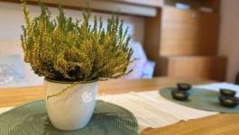 Eladó családi ház Budapest