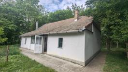 Eladó ház Csongrád