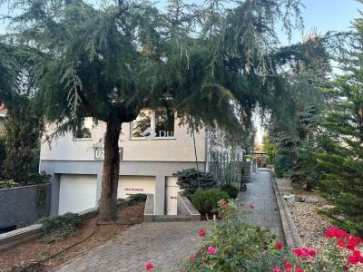 Eladó ikerház Budapest