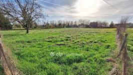 Eladó lakóövezeti telek Tiszajenő