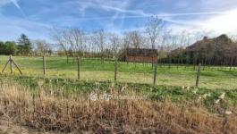 Eladó lakóövezeti telek Tiszajenő