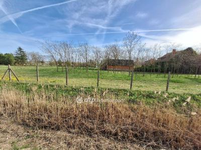 Eladó lakóövezeti telek Tiszajenő