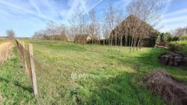 Eladó lakóövezeti telek Tiszajenő