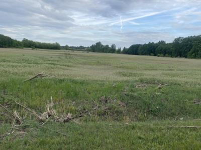 Eladó egyéb telek Táborfalva