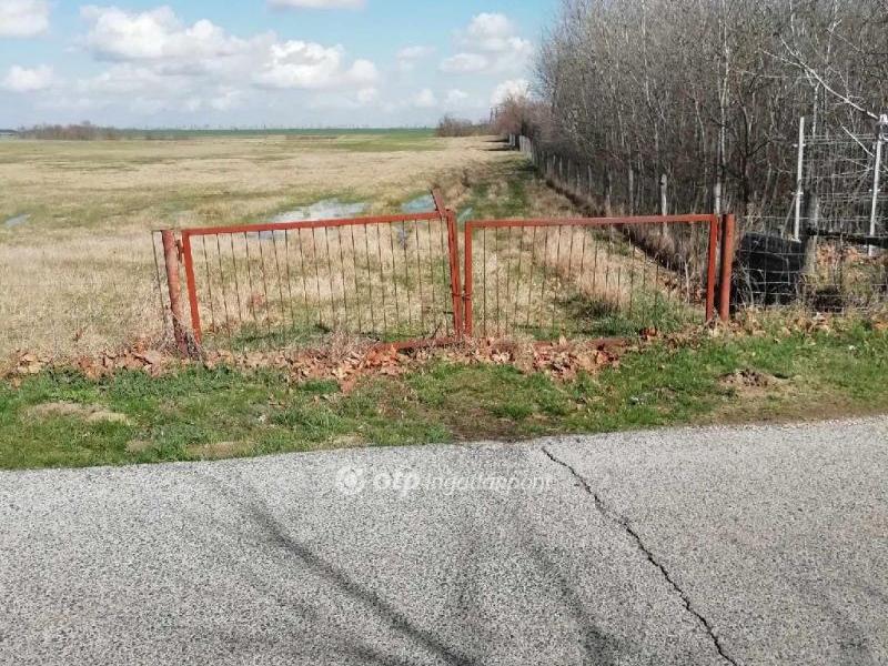 Eladó külterületi telek Aba