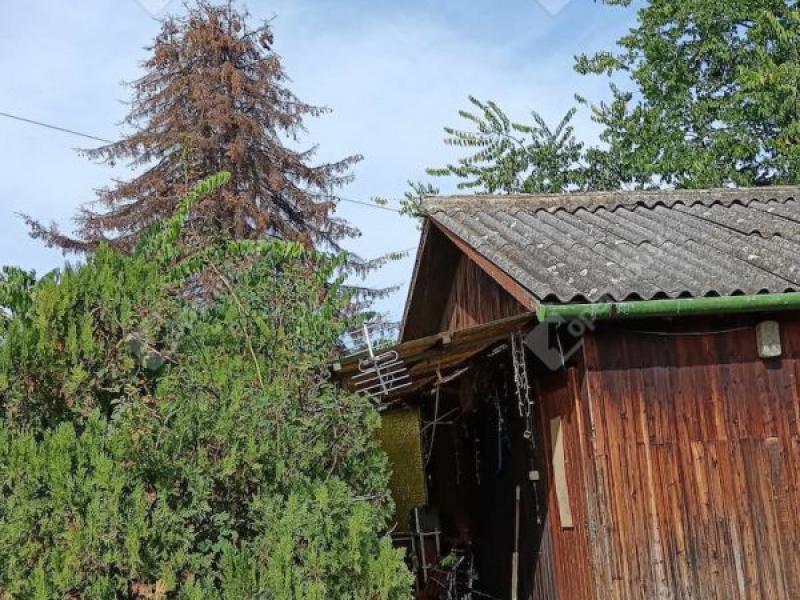 Eladó külterületi telek Monor Monorierdő