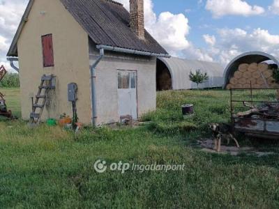 Eladó általános mezőgazdasági ingatlan Polgár