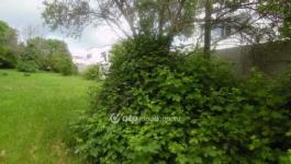 Eladó lakóövezeti telek Budapest