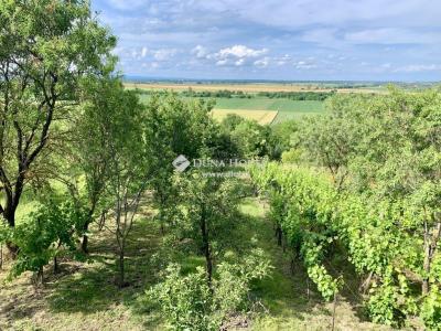 Eladó nyaraló - 8600 Siófok