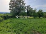 Eladó lakóövezeti telek Zalaegerszeg