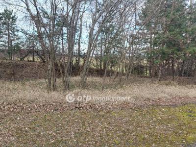 Eladó egyéb telek Tarjánpuszta