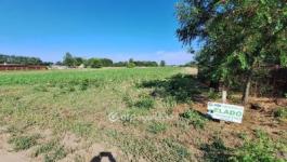 Eladó lakóövezeti telek Tiszakécske