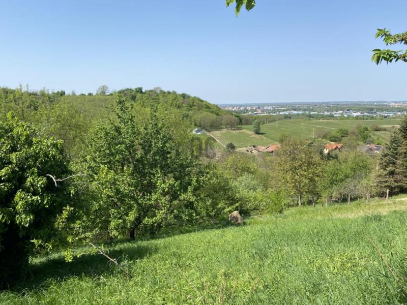 Eladó egyéb telek Zalaegerszeg