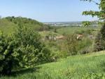 Eladó egyéb telek Zalaegerszeg