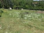 Eladó lakóövezeti telek Zalaegerszeg