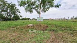 Eladó lakóövezeti telek Tiszakécske