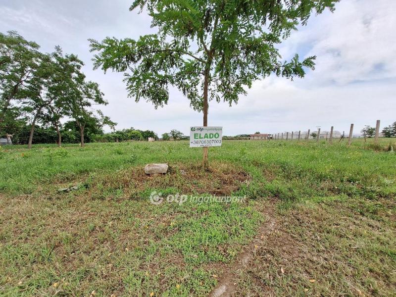 Eladó lakóövezeti telek Tiszakécske