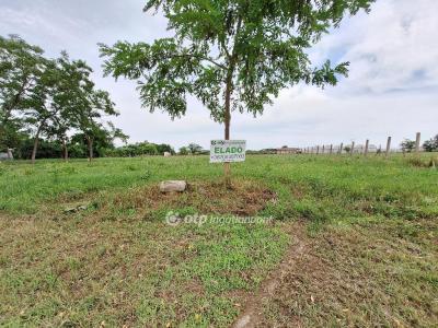 Eladó lakóövezeti telek Tiszakécske