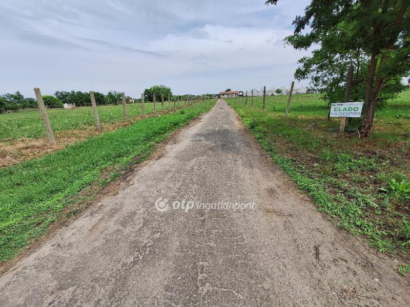 Eladó lakóövezeti telek Tiszakécske