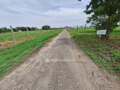 Eladó lakóövezeti telek Tiszakécske