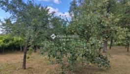 Eladó lakóövezeti telek Piliscsév