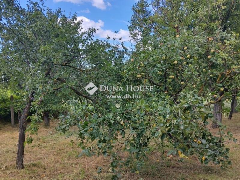 Eladó lakóövezeti telek Piliscsév