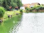 Eladó étterem, vendéglő Székesfehérvár